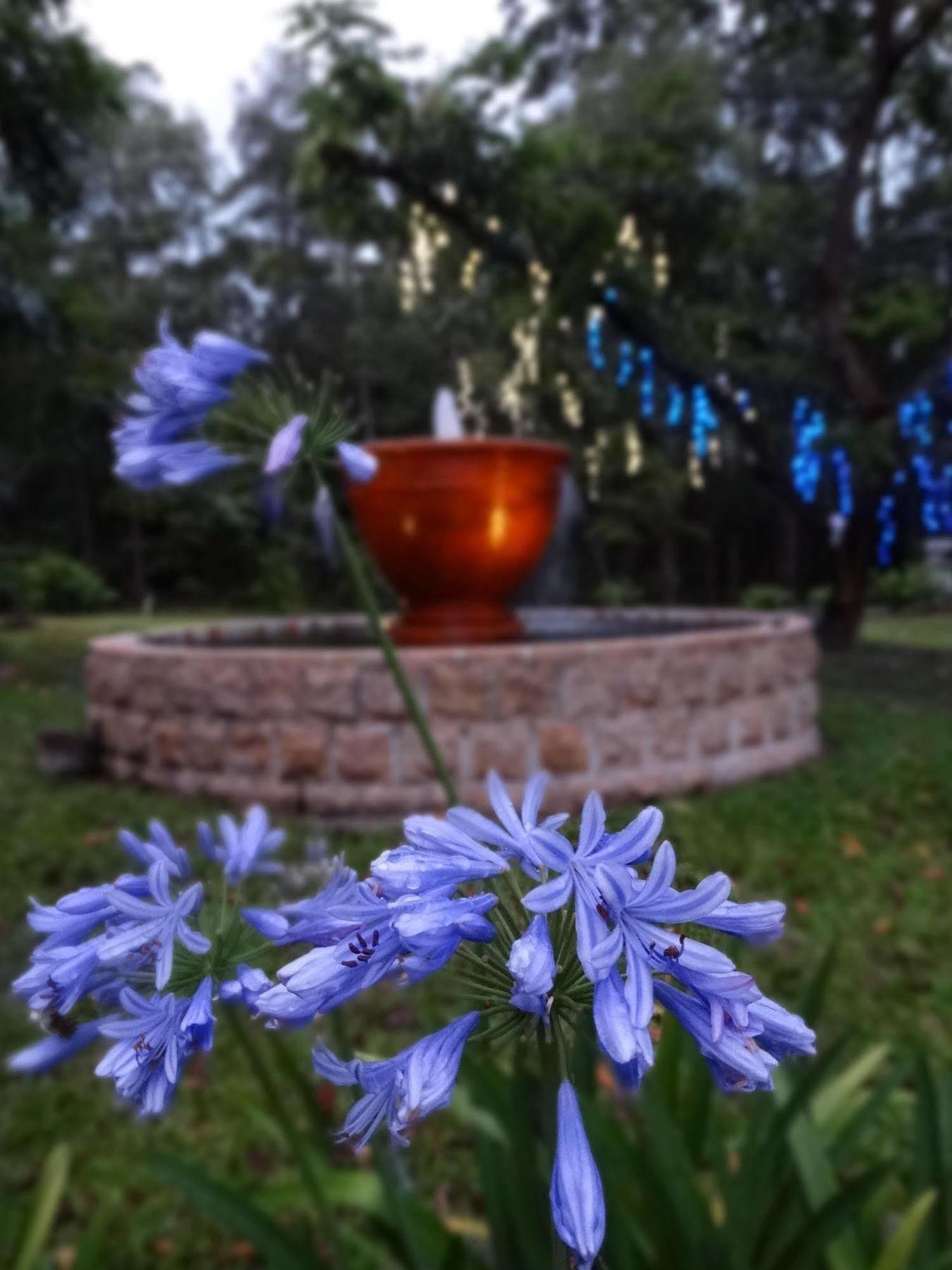 Noosa Valley Manor B&B Doonan Exterior foto